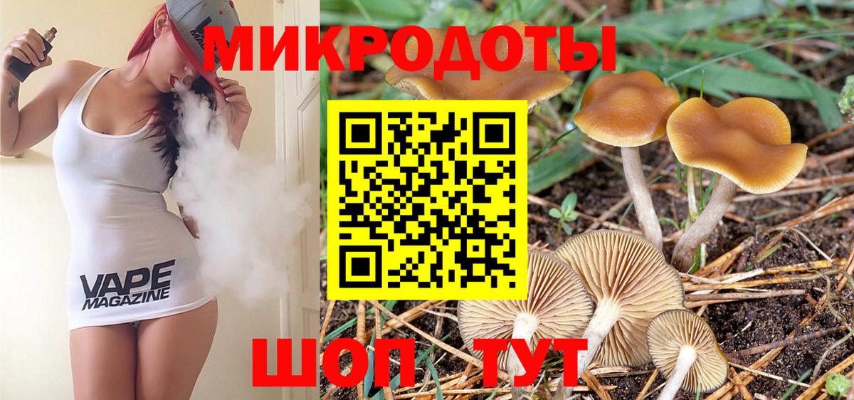 Псилоцибиновые грибы прущие грибы  Вход с VPN  Магнитогорск 